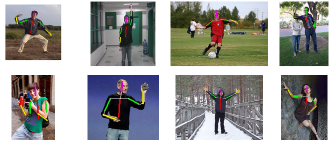 human pose estimation