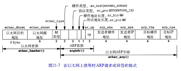 arp