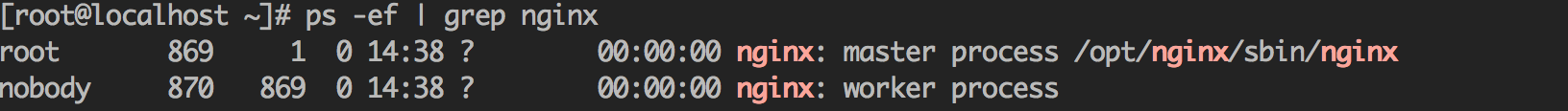 nginx启动成功