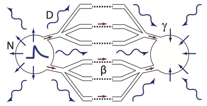 双峰互动 bimodal interactions