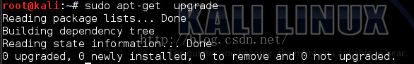 kali linux 执行update后不能install安装软件-安全者