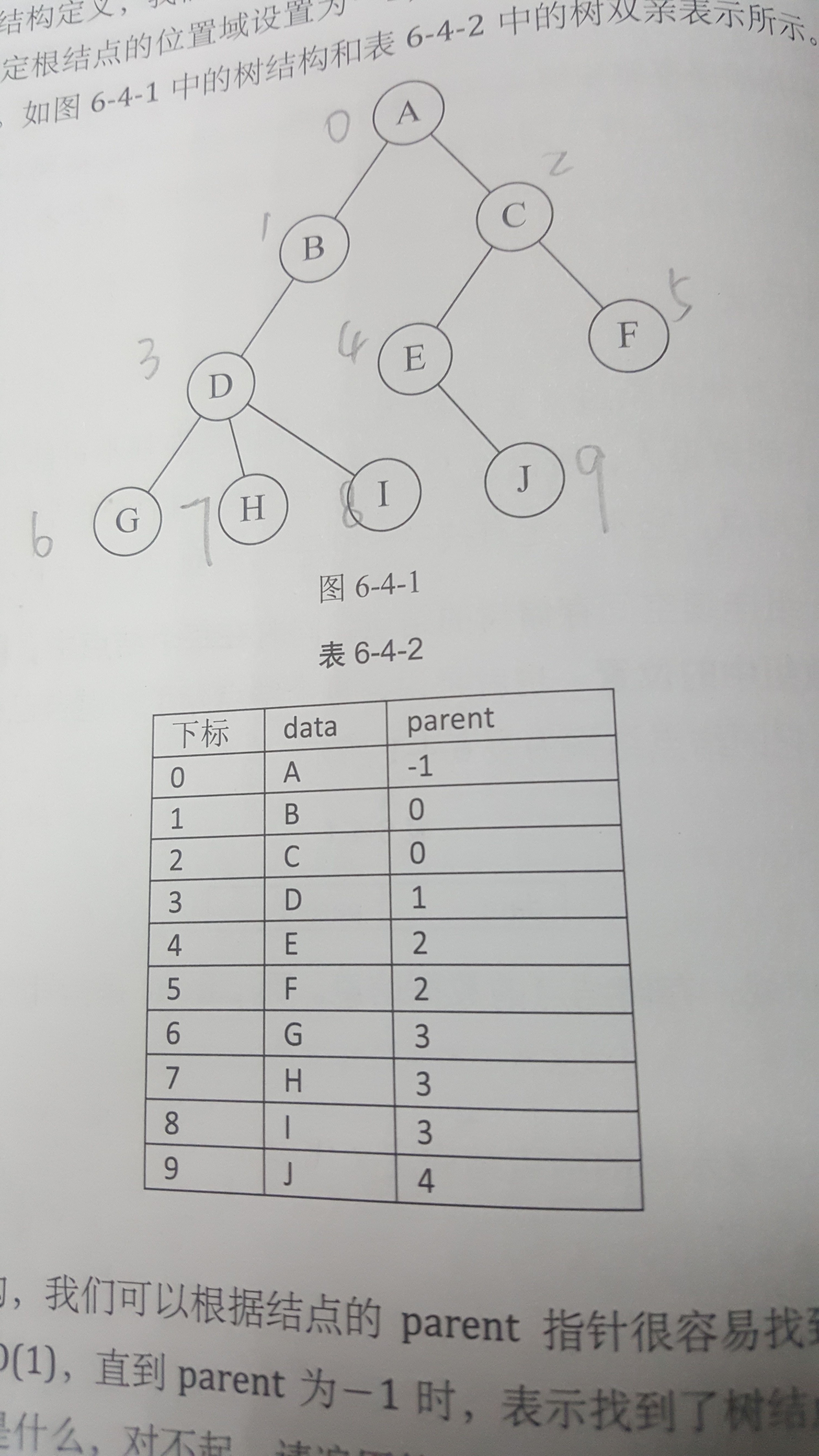 双亲表示法