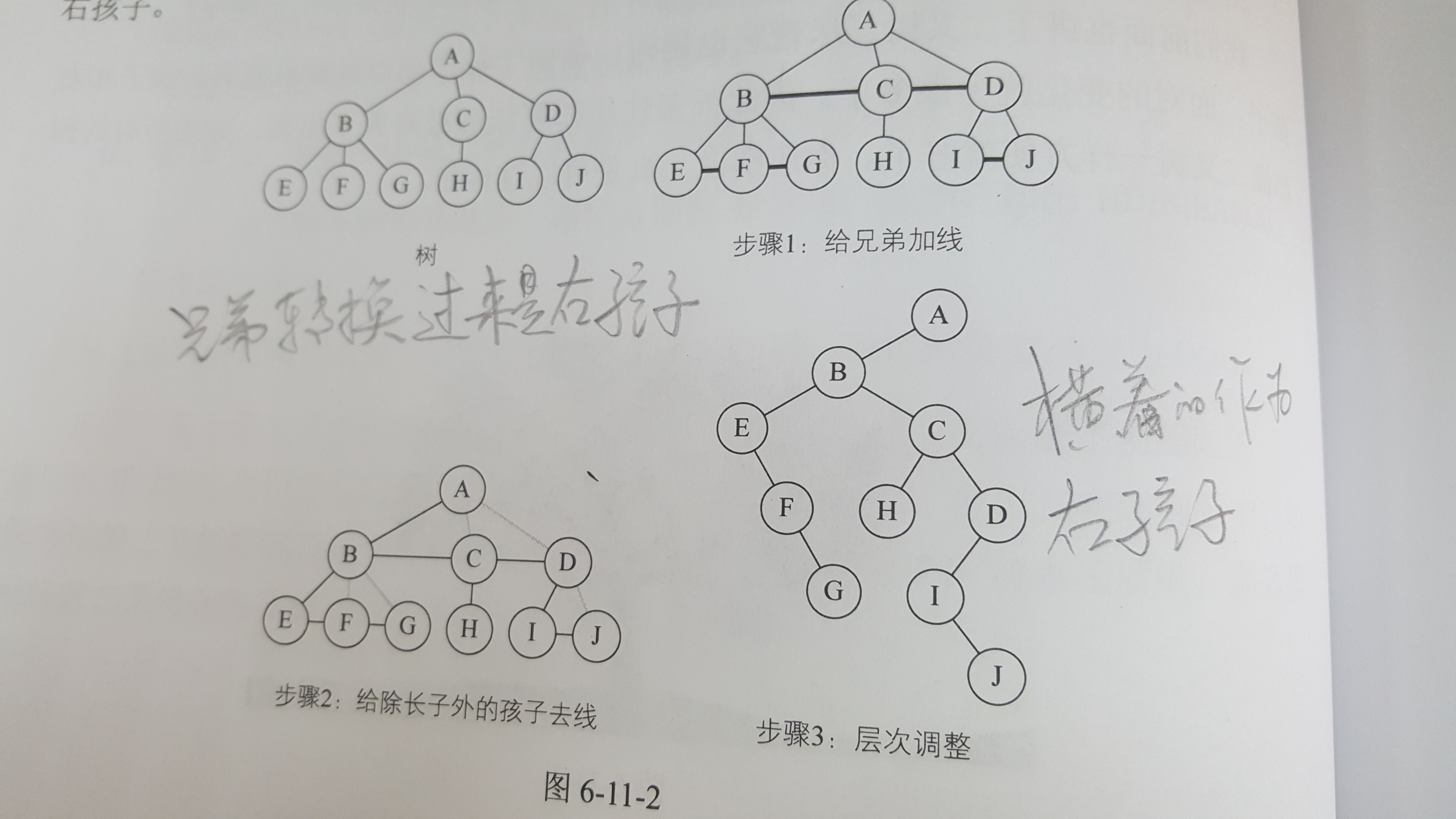 树转换为二叉树