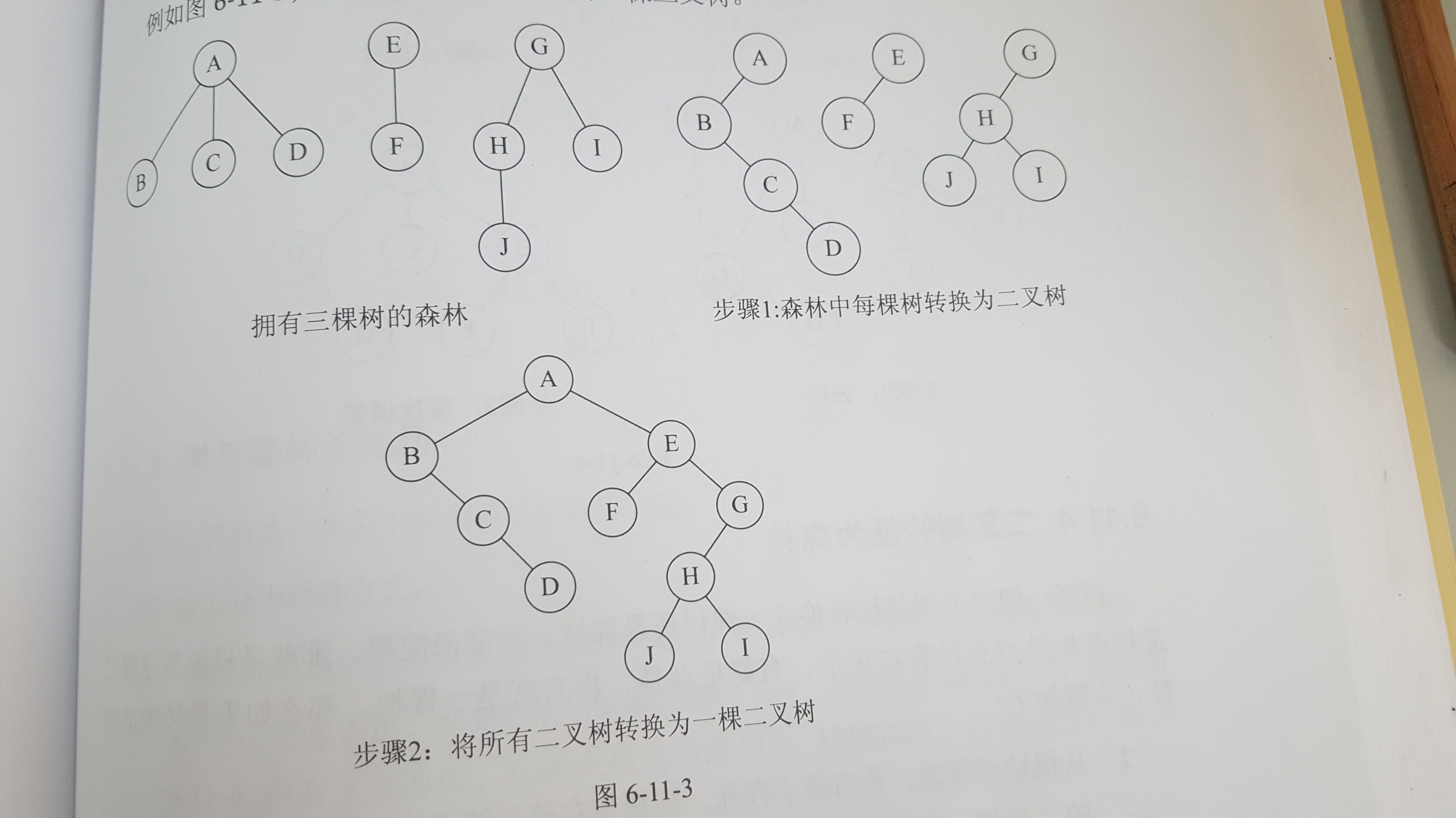 森林转换为二叉树