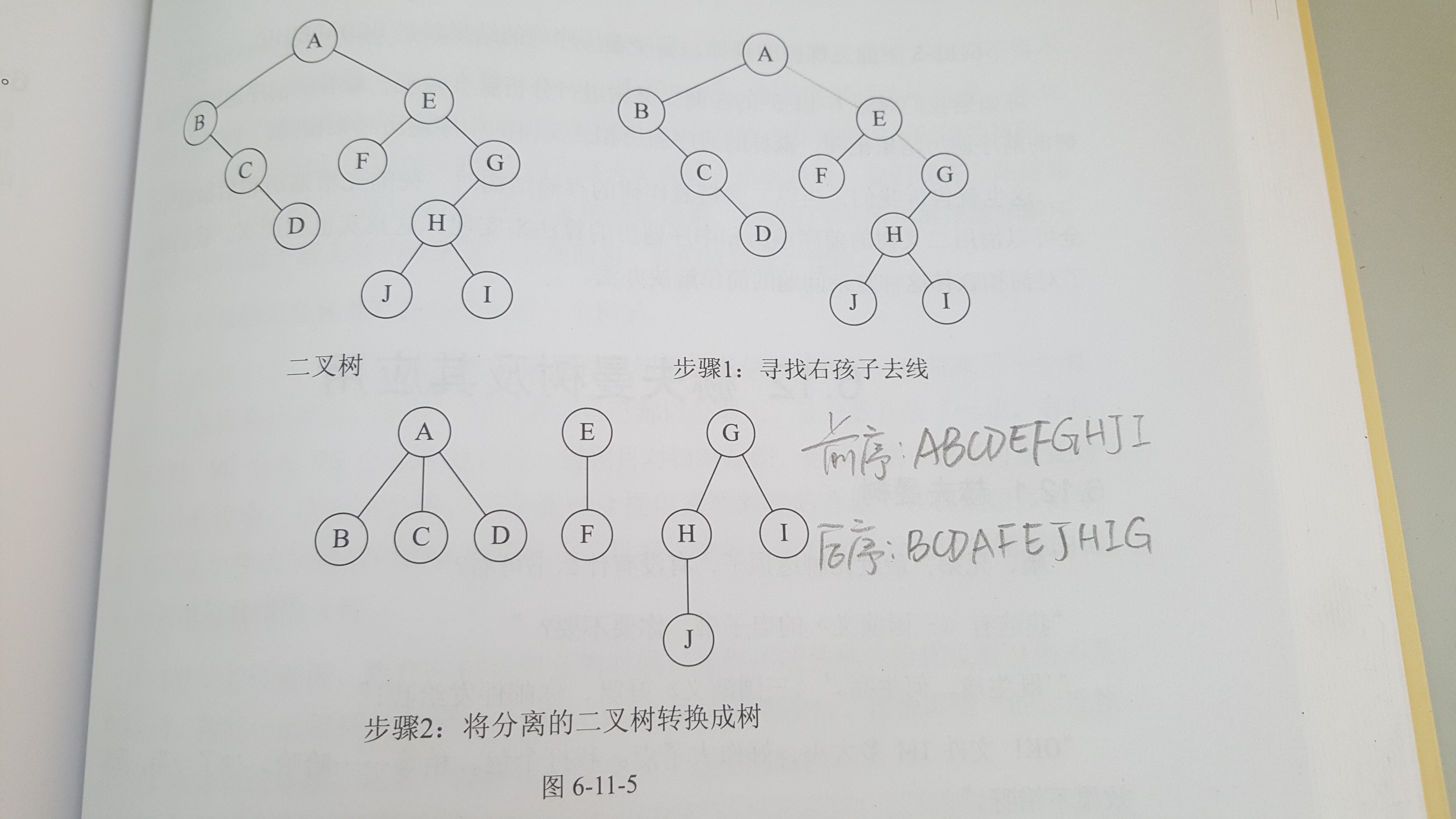 二叉树转换为树