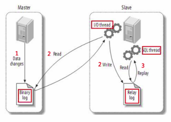 mysql复制结构图