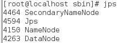 jps查看hdfs是否已经成功启动