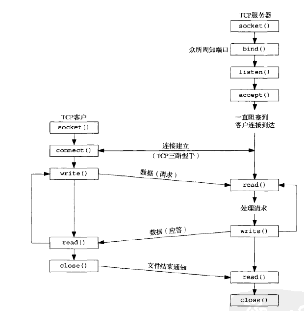 socket总述