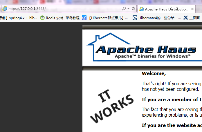 Apache OpenSSL生成证书使用