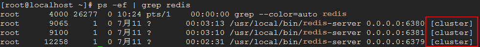 redis cluster进程