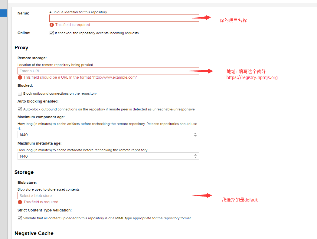 Proxying npm Registries创建时需要填写的地方