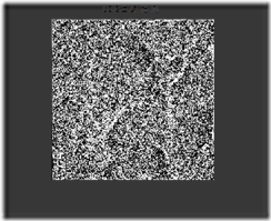 clip_image076
