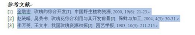 word 参考文献插入整理