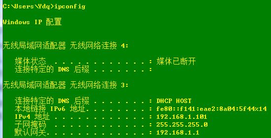 主机的IP情况