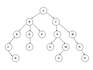 Tree_DataStructure