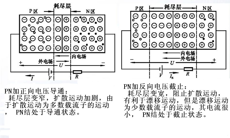 本征半导体和PN结概念解析