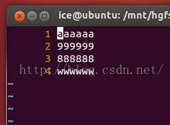 
			
				Linux共享内存（mmap详解）			