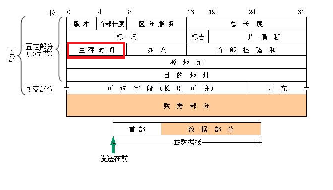 IP数据报