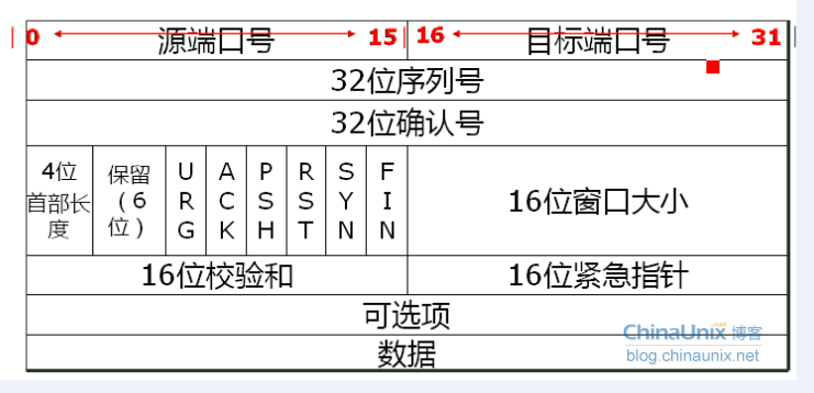 TCP数据包格式