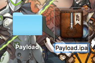 Payload