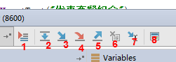 debug操作按钮