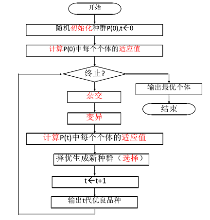 算法步骤