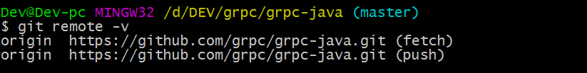 git remote -v