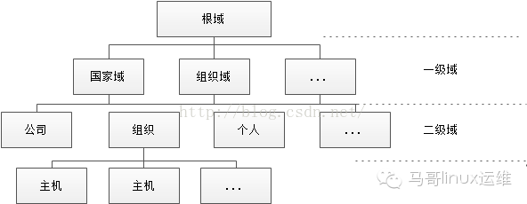 dns服务器理论基础知识_DNS