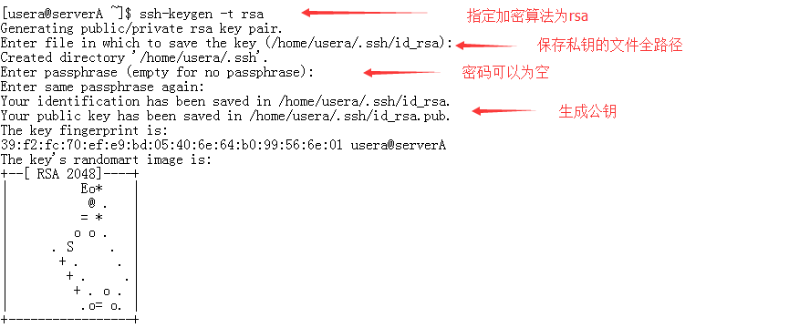 Linux系统中如何设置SSH免密登录