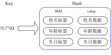 Hash 数据类型内部结构示意图