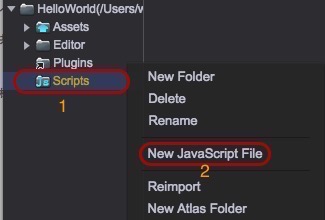 New Javascript File