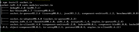 npm install命令安装