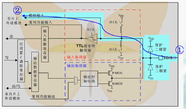 模拟输入