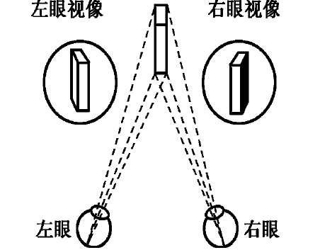 双目立体视觉及正交偏振 3D 显示