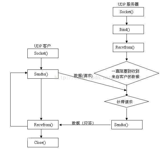 UDP-服务