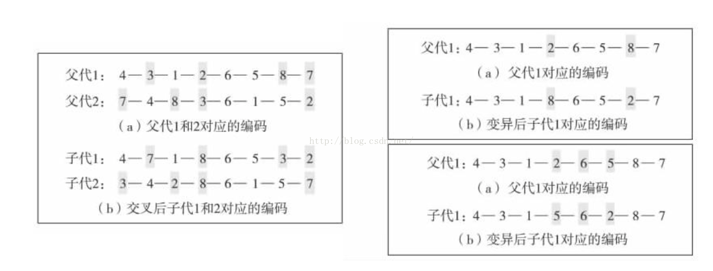 
			
				基于遗传算法的正则表达式分组算法			