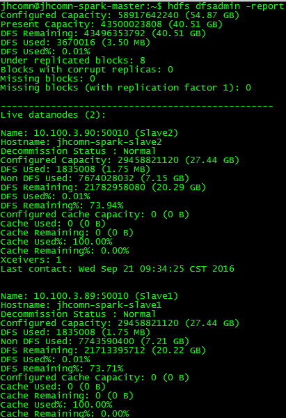 DataNode启动情况