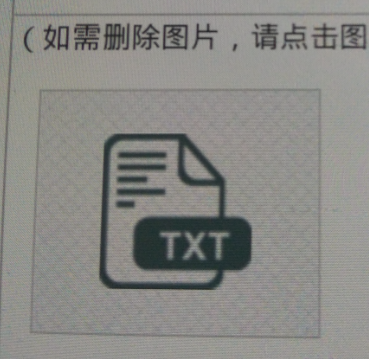 预览为TXT格式