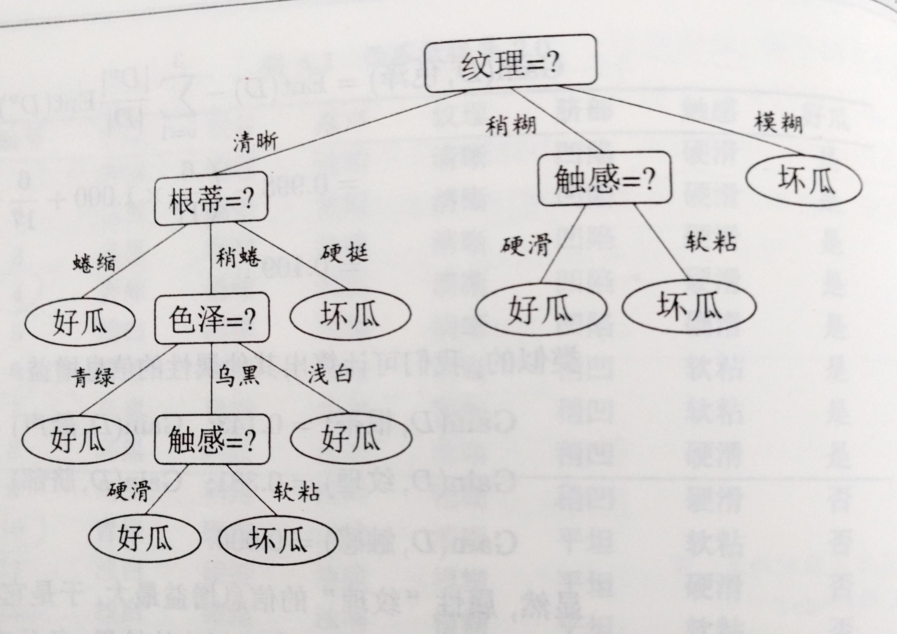 西瓜决策树