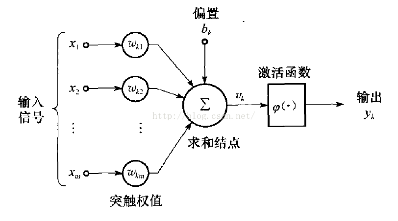 神经元模型