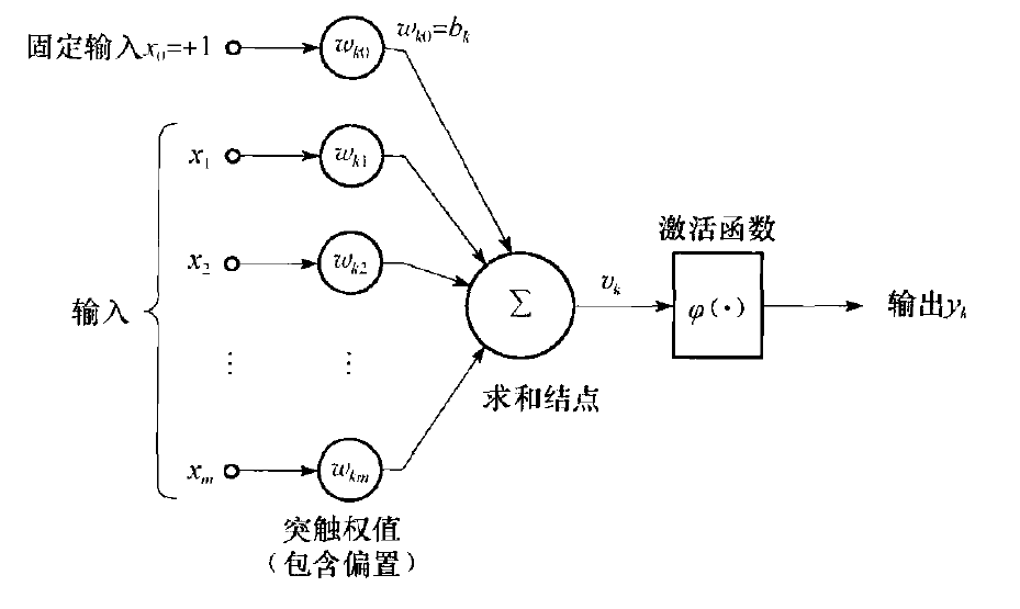 另一种神经元模型