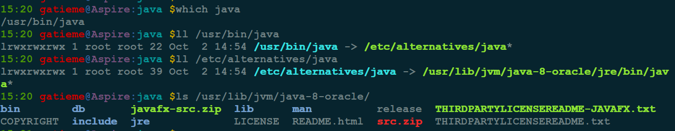 java_home