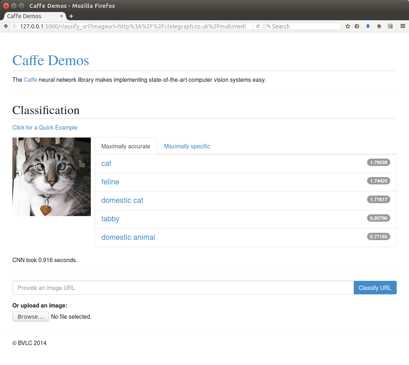 Caffe Web Demo caffe web CSDN 