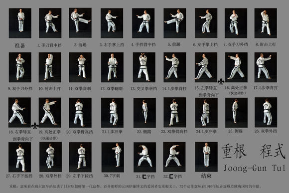 跆拳道十二个基本动作图片