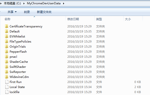 MyChromeDevUserData