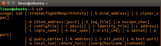 linux下存在SSH的截图