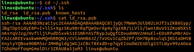 linux下执行命令查找SSH keys的值