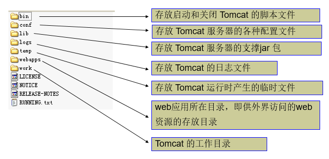 Tomcat