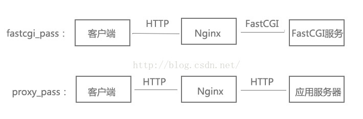 Nginx基本入门