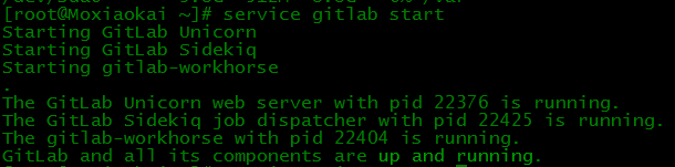 启动gitlab服务
